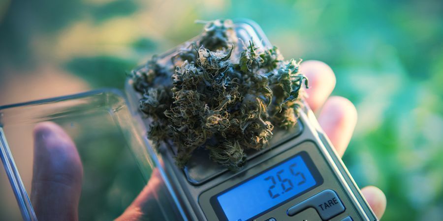 How To Choose A Gram Or Milligram Scale - Zamnesia Blog