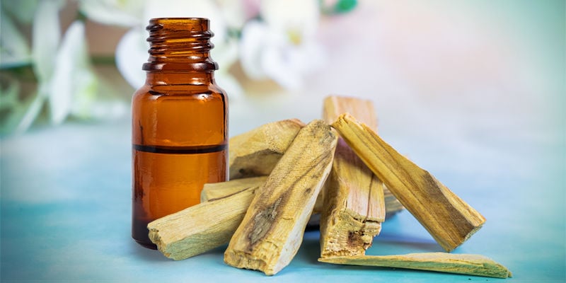 How To Burn Palo Santo Essential Oil