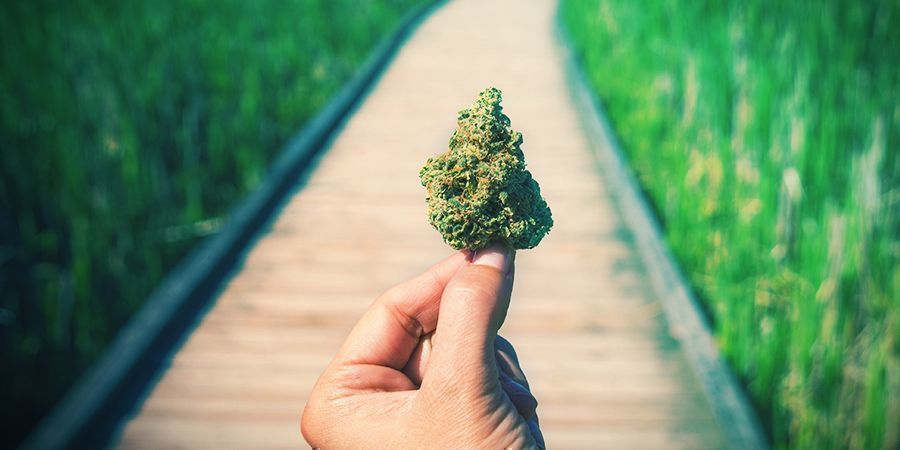 Good Weed, Bad Weed, Dank Weed