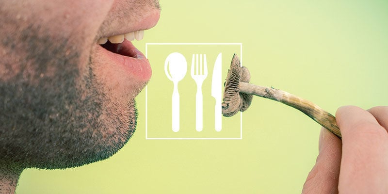 Best Ways To Consume Magic Truffles And Mushrooms