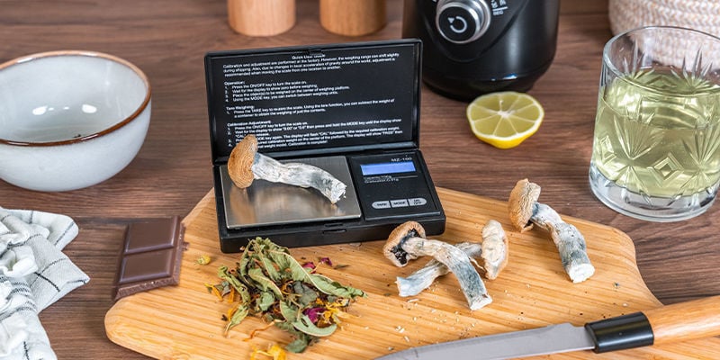 5 Ways To Consume Magic Mushrooms