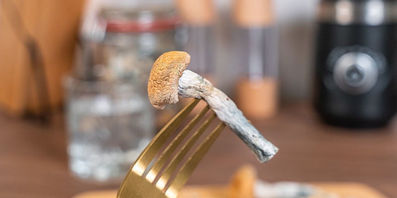 Chewing And Swallowing Magic Mushrooms