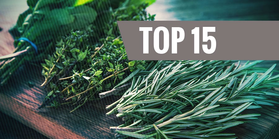 Top 15 Best Legal Herbs To Vaporize