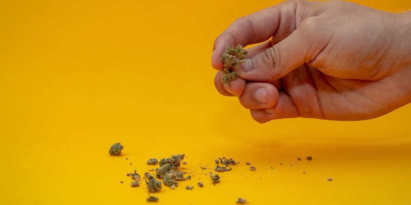 What Will Happen If Your Cannabis Gets Old?