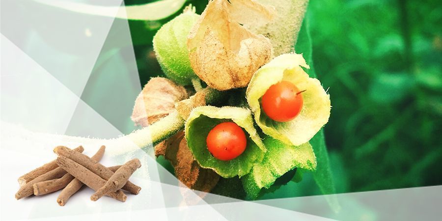 Ashwagandha