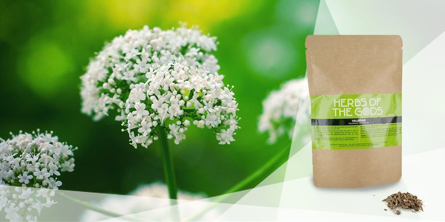 Valerian - Vape Herbs For A Good Mood