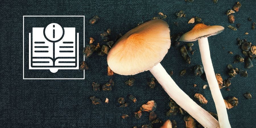Magic Mushroom And Truffle Information