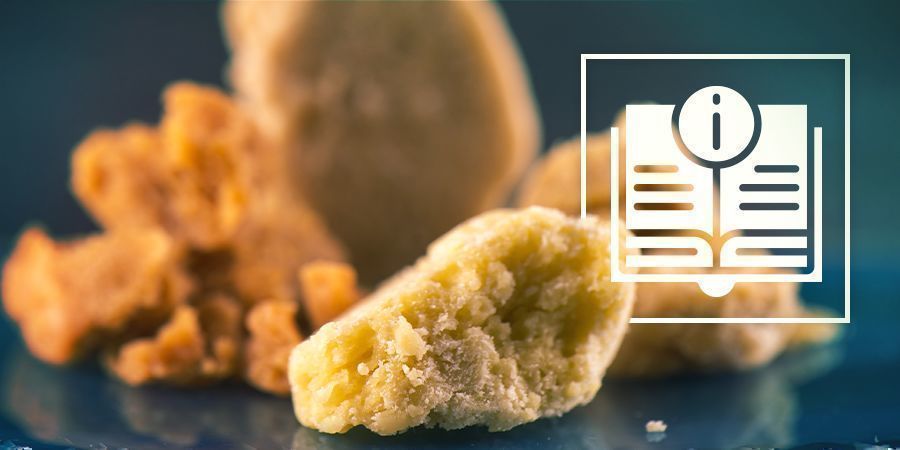The Ultimate Guide To Cannabis Concentrates 