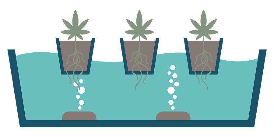 What Is DWC? What Is DWC?