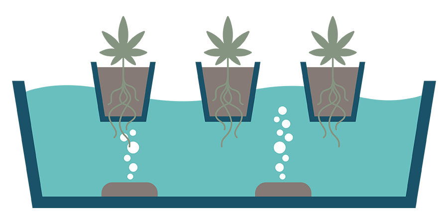 What Is DWC? What Is DWC?