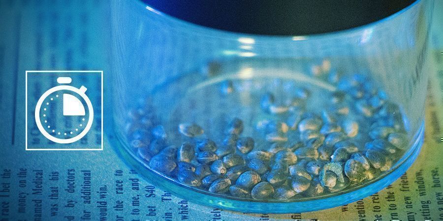 How Long Can Cannabis Seeds Be Stored?