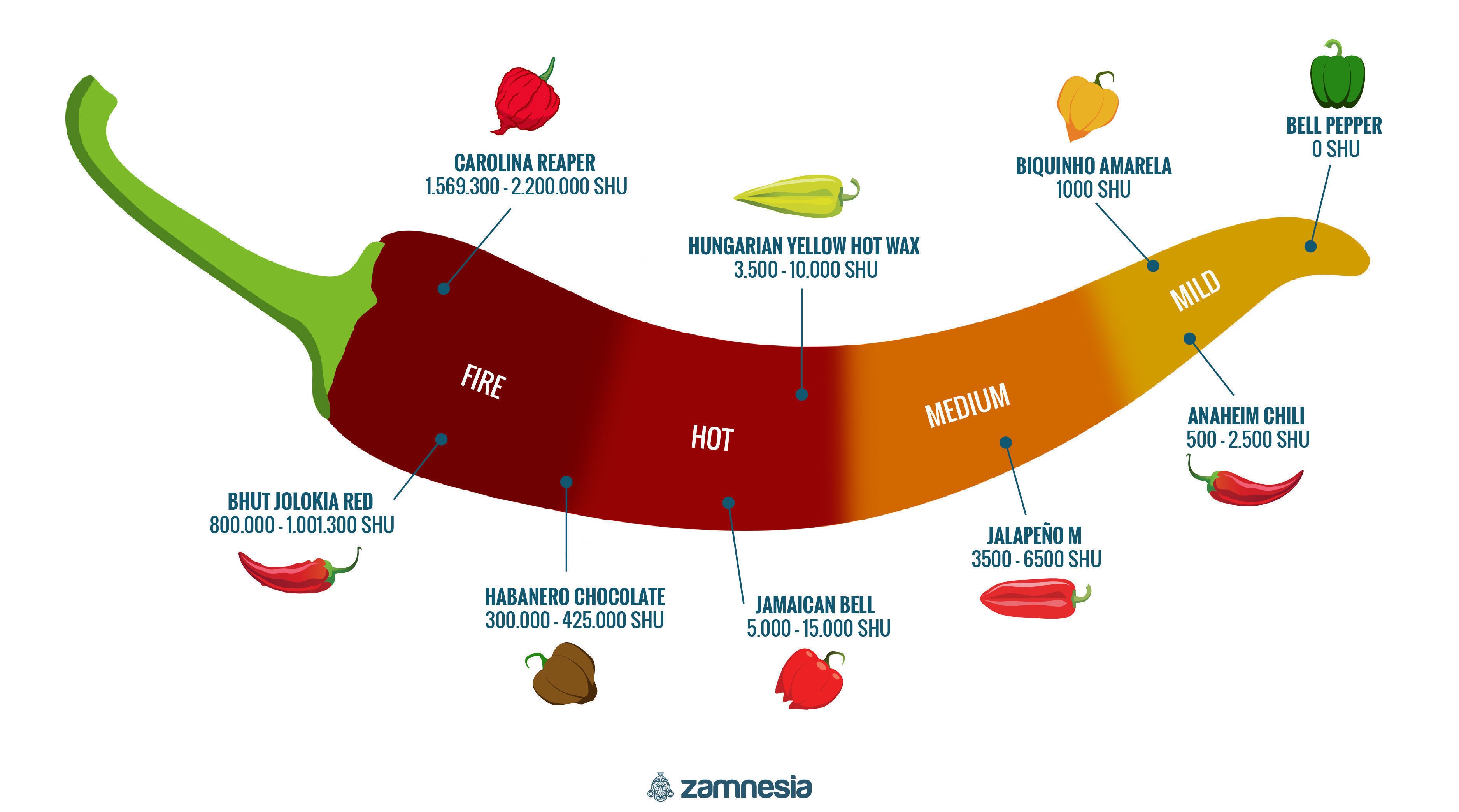 Hot Peppers Infographic