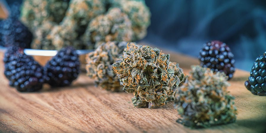 Cannabis Seedfinder: Cannabis Flavours