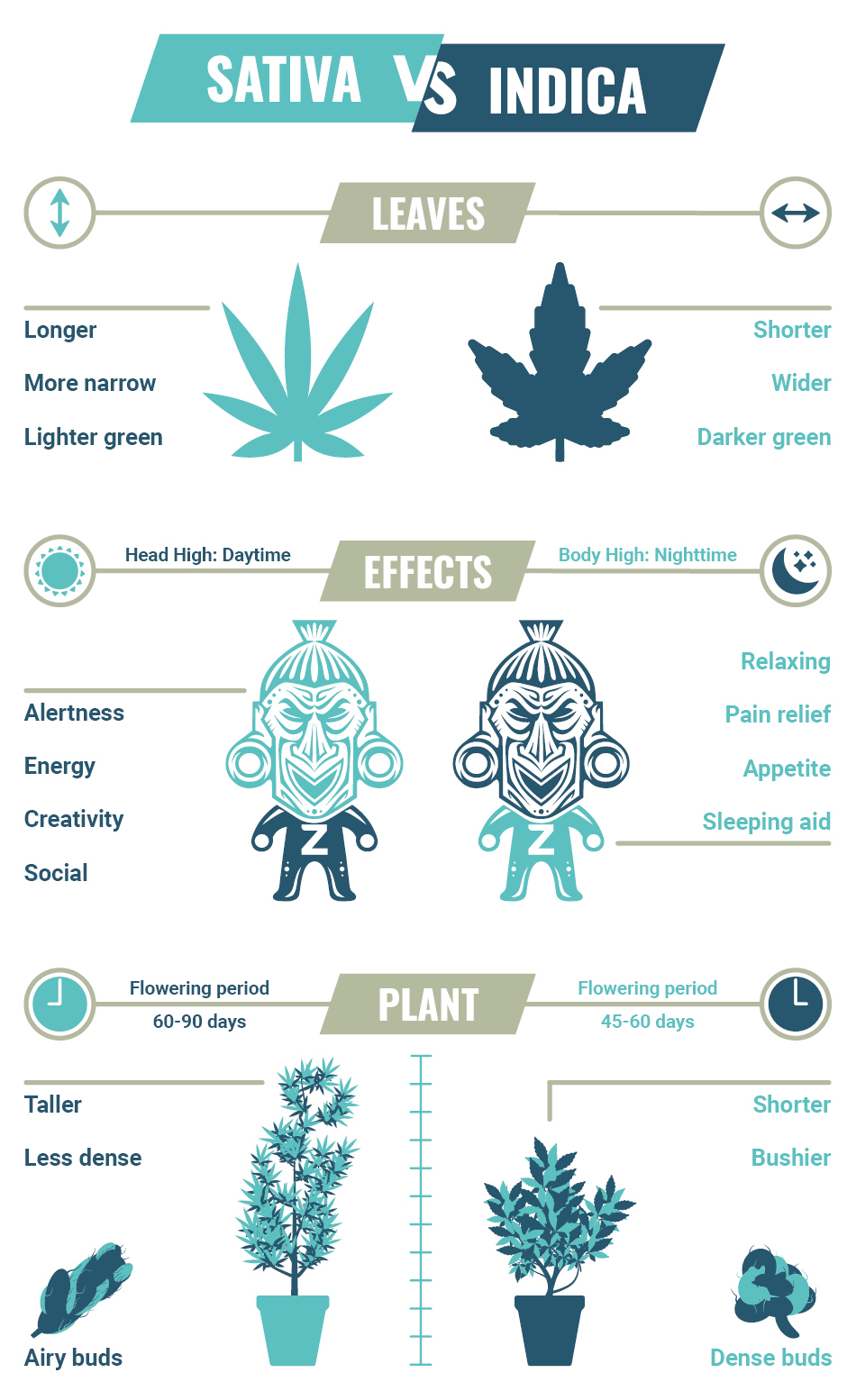 Sativa VS Indica