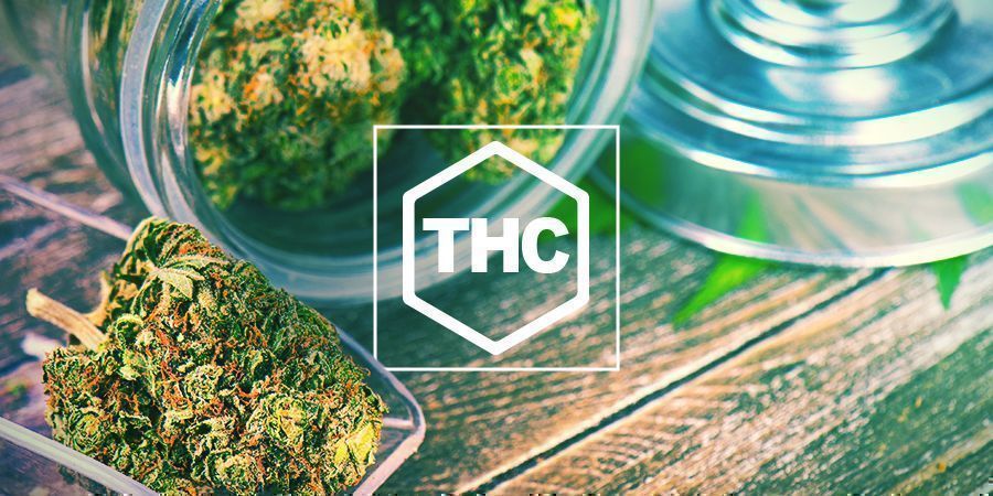 THC In Cannabis