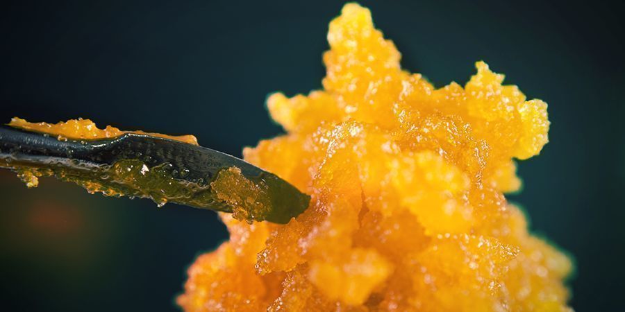 How To Isolate Trichomes To Make Concentrates