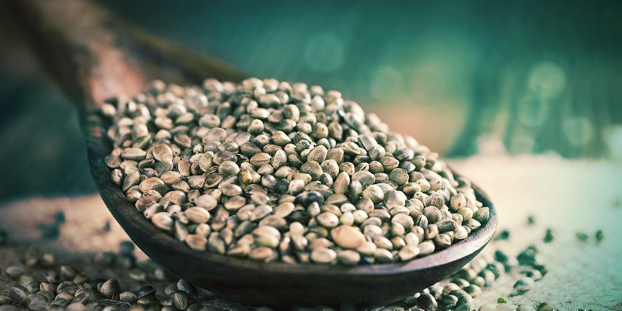 What Are Regular Cannabis Seeds And Who Are They For?