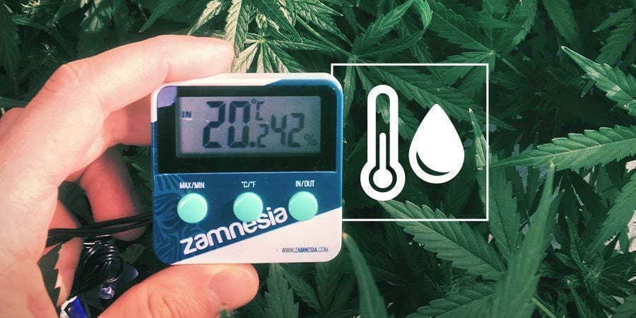 Humidity In The Cannabis Grow Space