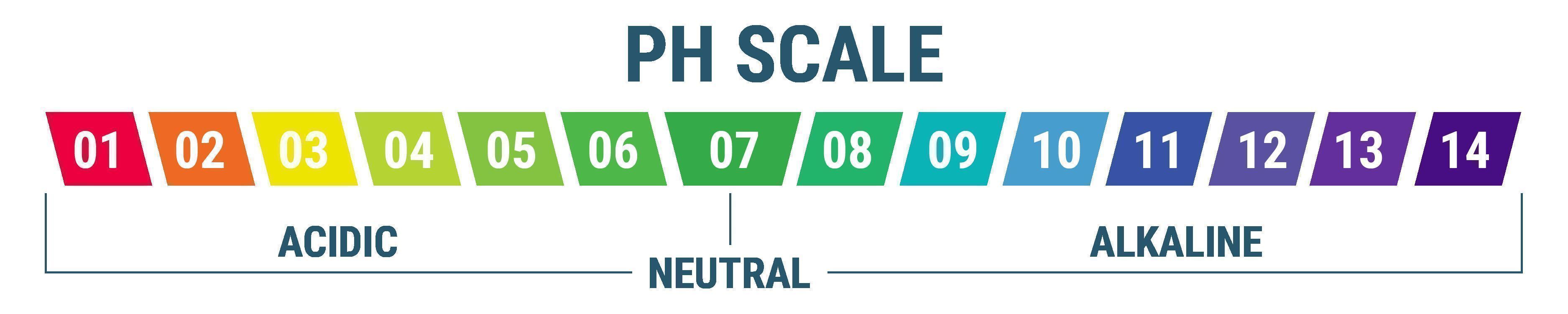 PH Scale
