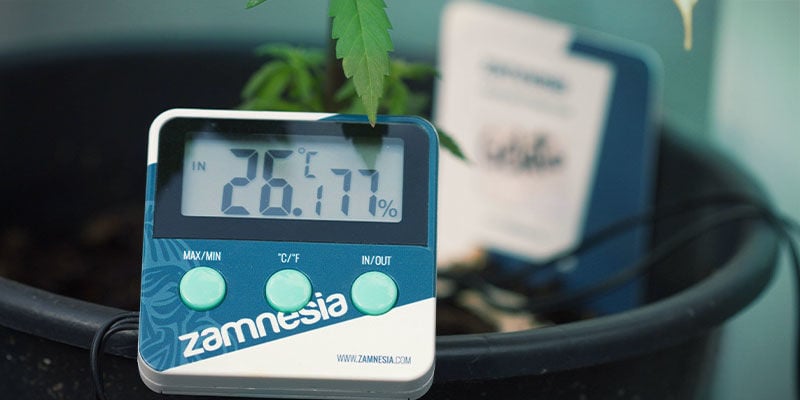 Cannabis Nutrient Availability: Temperature