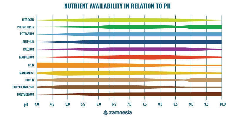 Nutrient Availability In Relation To Ph