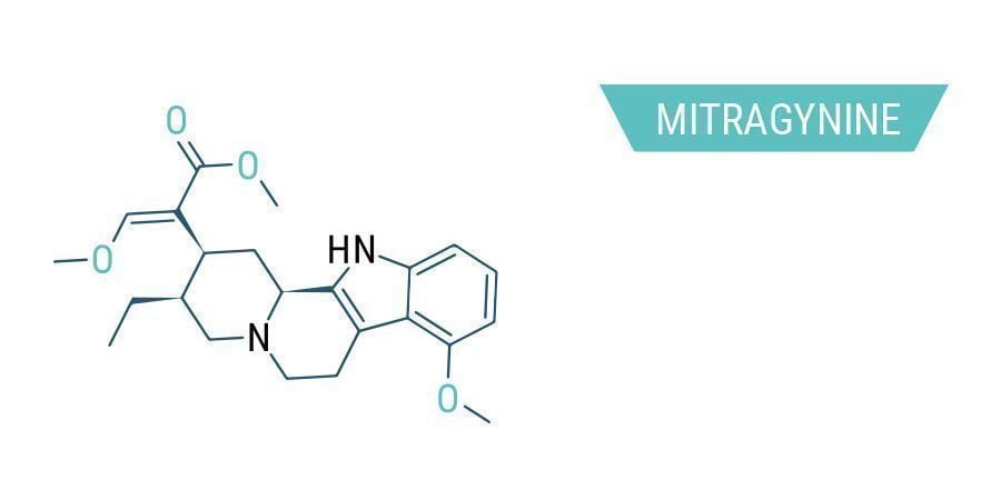 Kratom's Many Chemical Compounds: Mitragynine
