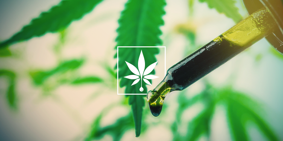 WHICH EXTRACTION METHODS ARE USED TO MAKE CBD OIL?