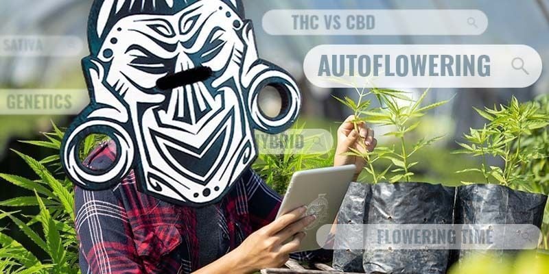 Find compatible genetics for the best grow possible