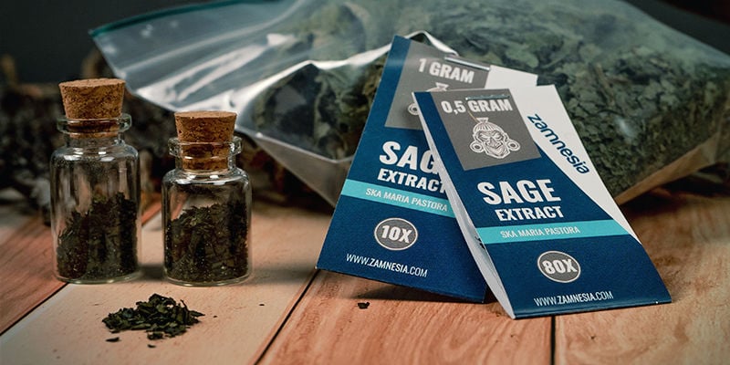 How and where can you get Salvia divinorum?