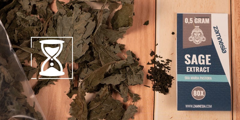 How long do the effects of Salvia divinorum last?