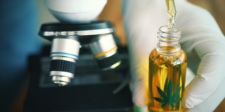 What Happens If You Take CBD Everyday?