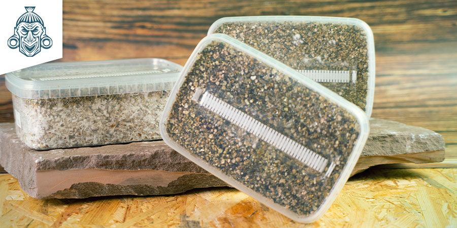 Zamnesia Grow Kits ZAMNESIA Magic Mushroom GROW KITS