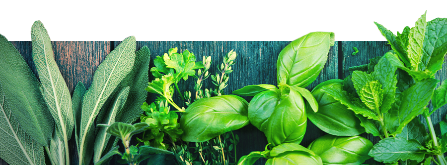 Information About Vape Herbs