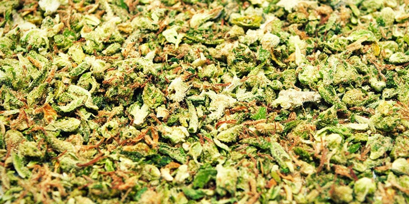 Grind Weed Without a Grinder Grind Weed Without a Grinder