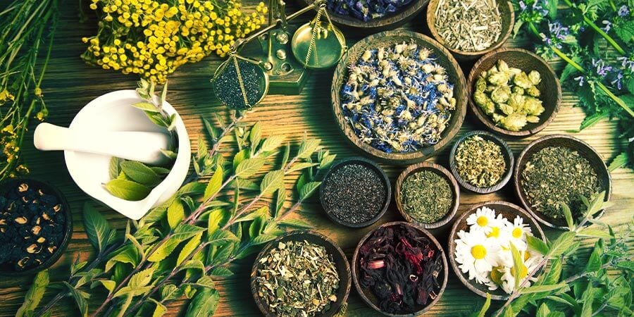 Building Natural Stamina with Herbs