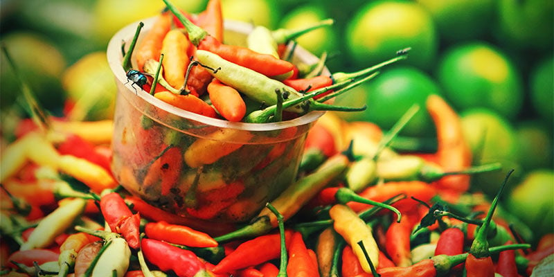 Why Grow Your Own Chilli Peppers?