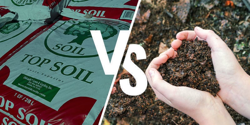 Store-bought vs homemade cannabis soil