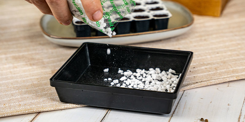 Add A Thin Layer Of Perlite Onto The Bottom Of The Propagator Tray