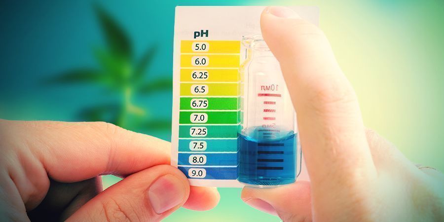 How To Treat Calcium Toxicity