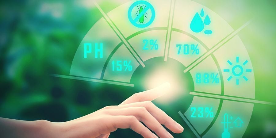 Cannabis, Magnesium, and pH Level