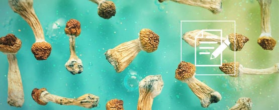 What To Know About Shrooms (Magic Mushrooms)