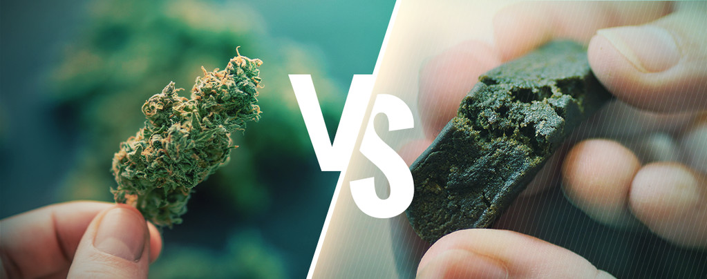 Cannabis VS Hash