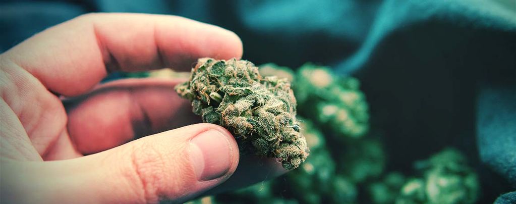 Popcorn Cannabis Buds: What They Are And How To Avoid Them