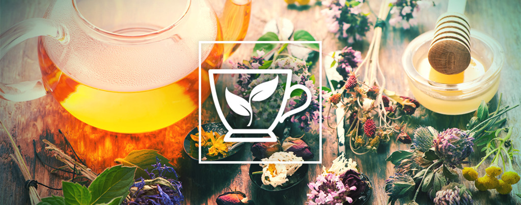 10 Best Herbs To Brew A Tea With