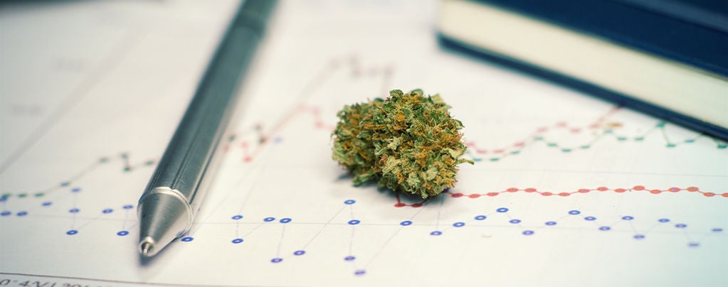 The Pros (And Cons) Of Using Cannabis For Studying Or Training