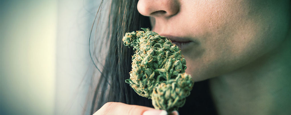 Eliminate Cannabis Odour