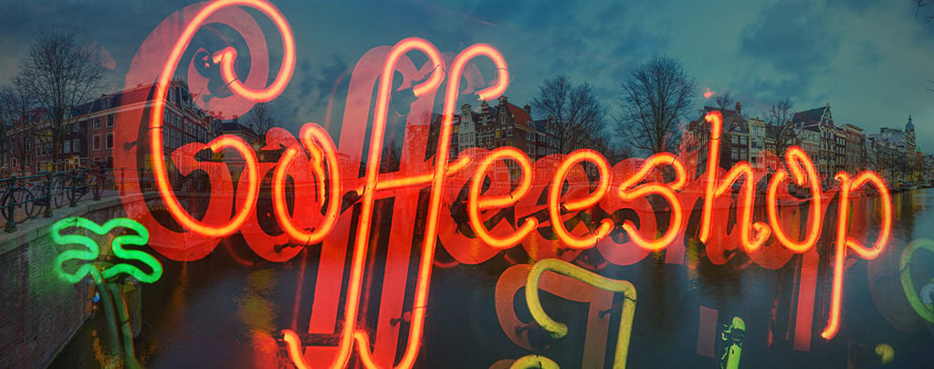 Zamnesia's Amsterdam Coffeeshop Visits