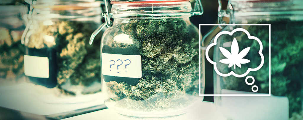 How Should We Name Cannabis Strains In The Future?