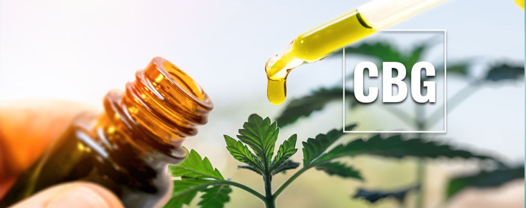 What Is CBG Oil?