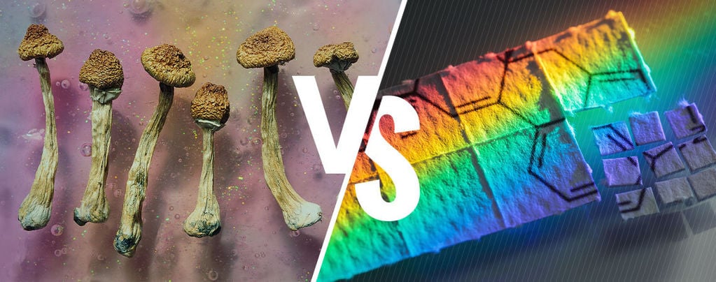 Magic Mushrooms Versus LSD: What's The Difference? 